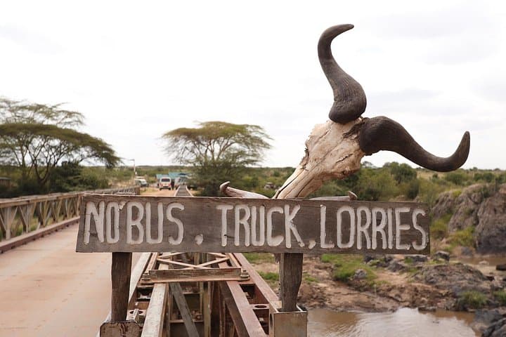 4-Day Luxury Masai Mara Safari: Private Game Drives & Lodge Comfort photo 3