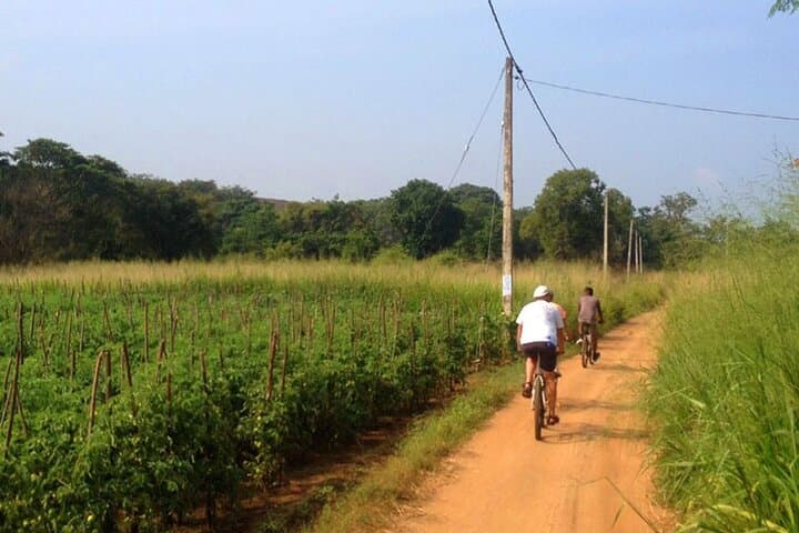Sigiriya Cycle Safari: Day Ride Through Ancient Plains and Villages