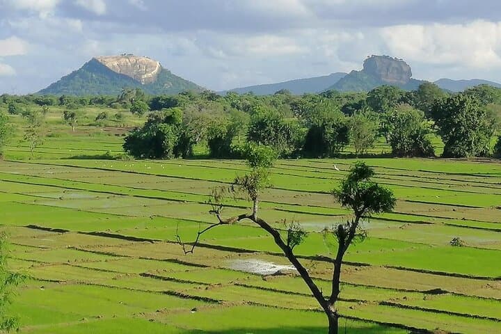 Sigiriya Cycle Safari: Day Ride Through Ancient Plains and Villages photo 5
