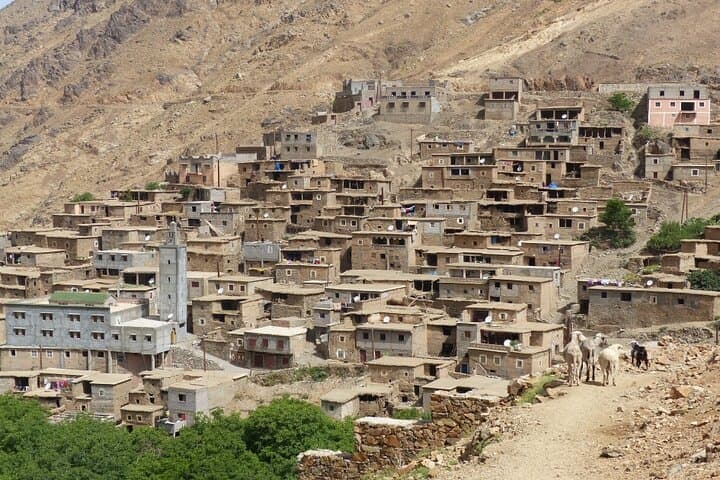 Two-Day Mt Toubkal Trek: Summit North Africa's 4,167m Peak from Marrakech photo 3