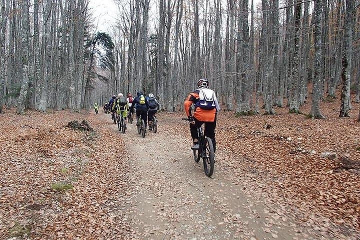 Mount Olympus Mountain Biking: Guided Rides to Kati Lake & Krevatia Shelter photo 4