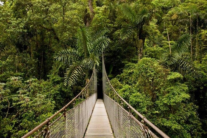 Arenal 3-in-1 Adventure: Hanging Bridges, Waterfall, Volcano Hike & Hot Springs photo 4