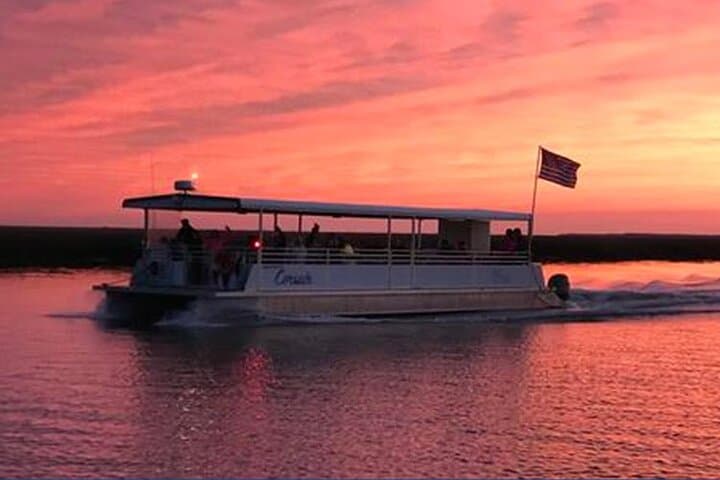 Explore Jekyll Island Dolphin Tours: A Scenic 90-Minute Wildlife Adventure photo 6
