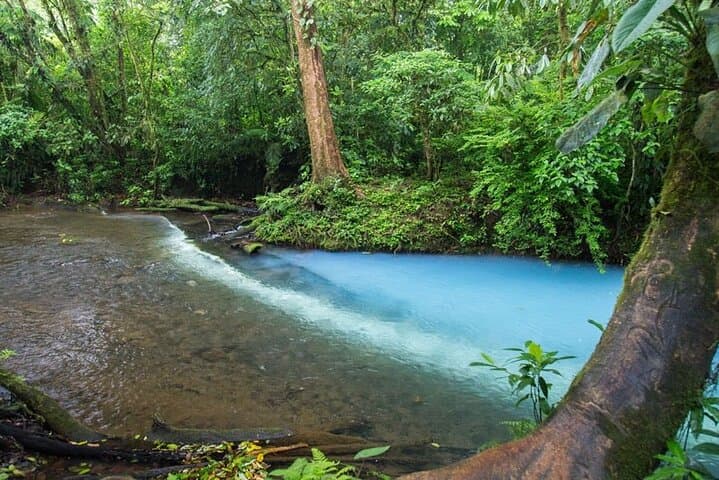 Private Full-Day Rio Celeste Hike from La Fortuna: Waterfall, Volcanic Springs & Wildlife photo 3
