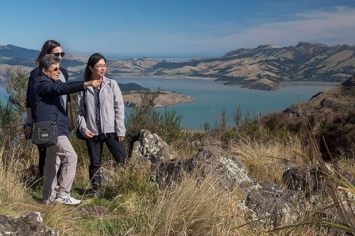 Christchurch Sightseeing Pass: Gondola, Punting & Tram Guide photo 4