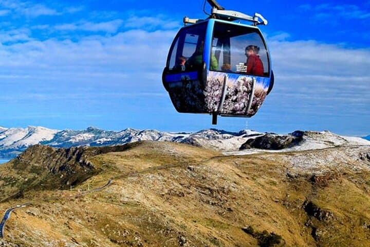 Christchurch Sightseeing Pass: Gondola, Punting & Tram Guide photo 5