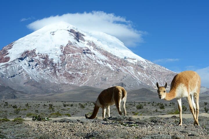 Chimborazo Volcano Full-Day Hike from Baños to 5,041 m photo 2