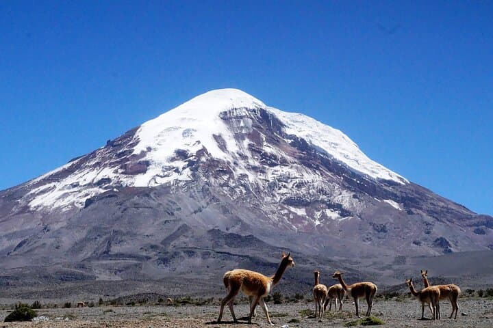 Chimborazo Volcano Full-Day Hike from Baños to 5,041 m photo 3