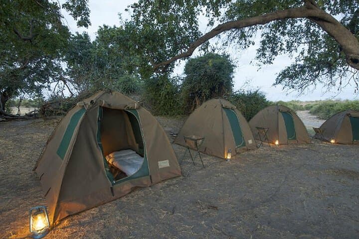 Chobe National Park: 3-Day Camping & Game Drives on the Chobe River photo 3