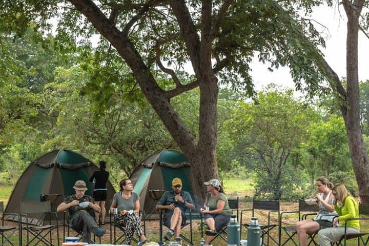 Chobe National Park: 3-Day Camping & Game Drives on the Chobe River photo 4