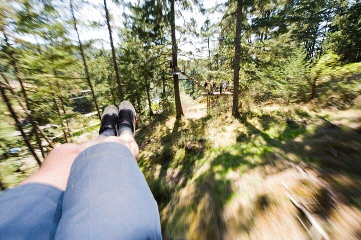 Victoria Zipline Adventure: Fly the Pacific Coast Rainforest photo 2