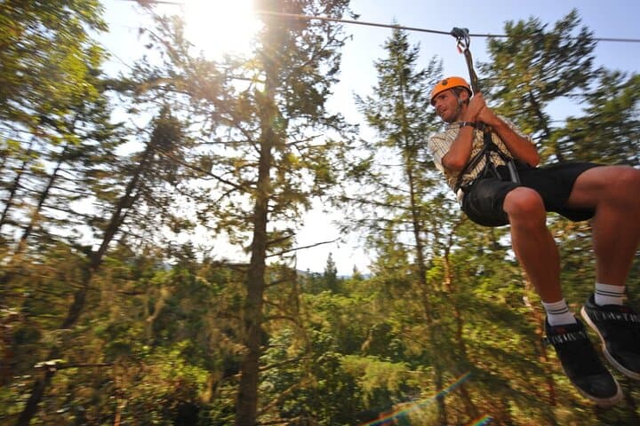 Victoria Zipline Adventure: Fly the Pacific Coast Rainforest photo 3