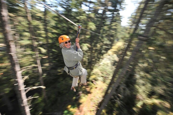 Victoria Zipline Adventure: Fly the Pacific Coast Rainforest photo 5