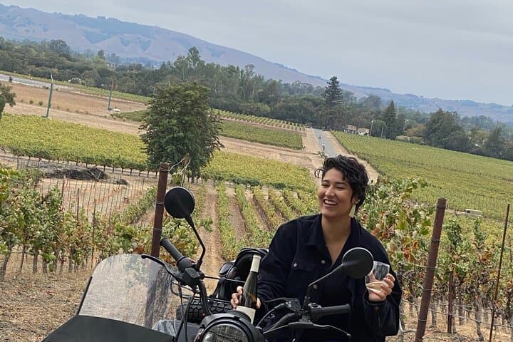 Sonoma Sidecar Wine Tour: 3-Winery Tasting with Gourmet Picnic photo 6