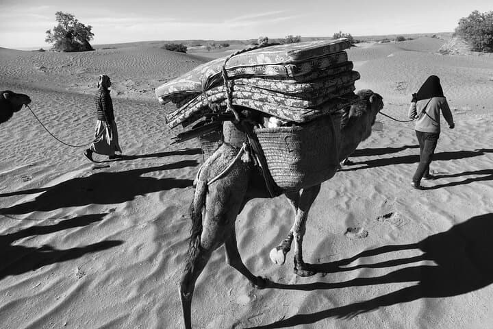 2-Day Private Sahara Tour to the Chegaga Dunes from M'Hamid photo 2