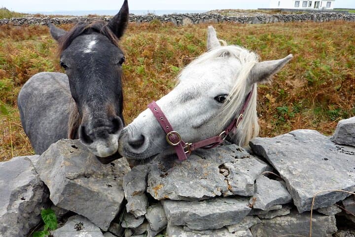 Electric Biking Inishmore: Full-Day eBike Loop to Dún Aonghasa & the Worm Hole photo 4