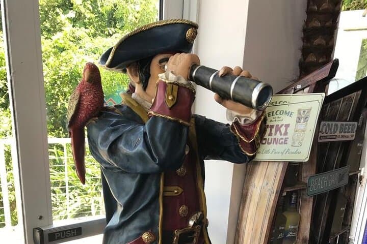 Private Customized Tour in St Thomas: Beaches, Lookouts & Duty-Free Charlotte Amalie photo 5
