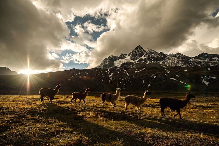 Classic Inca Trail: 4-Day Private Trek to Machu Picchu photo 4