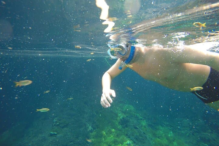 Akumal Turtle Snorkeling from Cozumel — Private 6‑Hour Marine Turtle Experience photo 5
