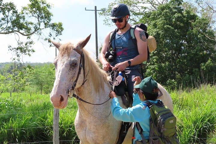 Jungle Farm Horseback Ride from San Ignacio: Savannah, Jungle & River Trails photo 3