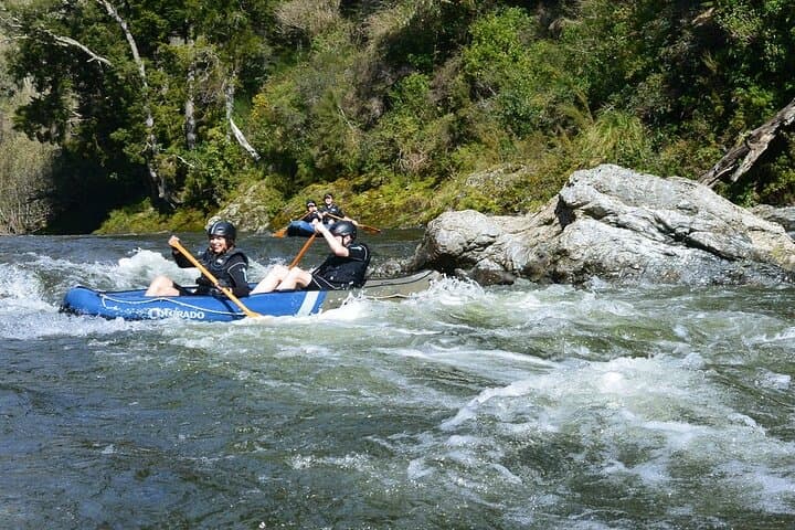 Hobbit Barrel Run Rafting on the Pelorus River — Guided Rafting & Film-Location Float photo 4