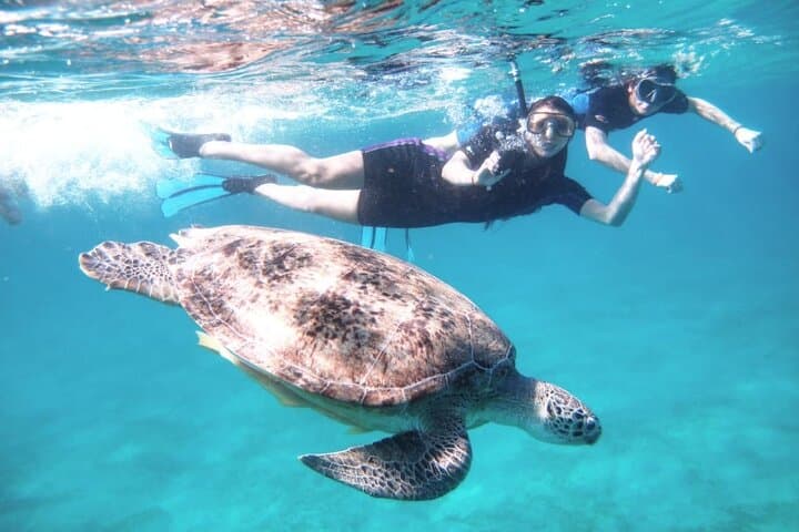 Abu Dabbab Beach Full-Day Snorkel with Turtles near Marsa Alam photo 3
