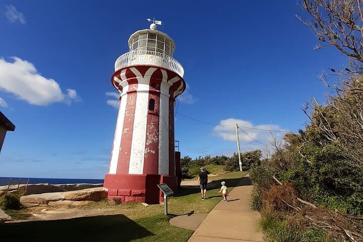 Secret Sydney: Hidden Beaches, Harbourside Gardens & Coastal Birdlife photo 5