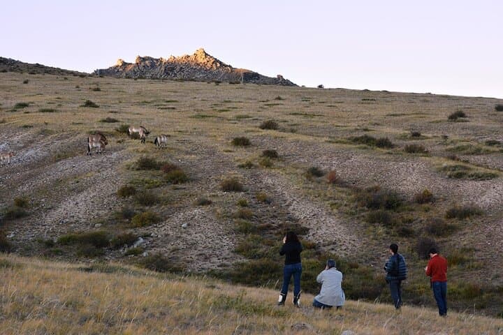 3-Day Private National Parks Tour from Ulaanbaatar — Wild Horses, Gers & Genghis Khan Statue photo 3