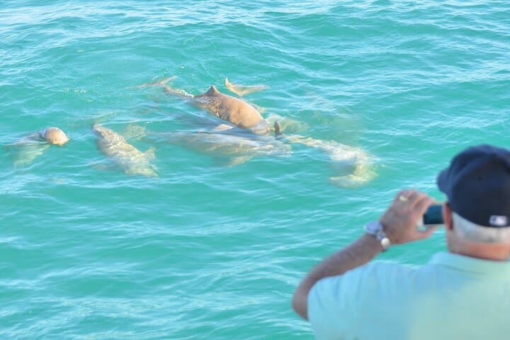 Snubfin Dolphin Eco Cruise in Broome — Roebuck Bay Wildlife Morning photo 6