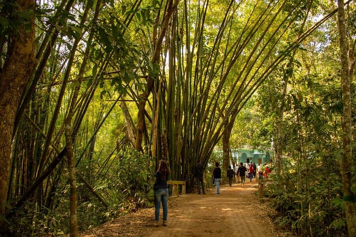 Sreemangal 3-Day Teagarden & Rainforest Tour: Humhum Waterfall, Lawachara, and Teaplantation Walks photo 3
