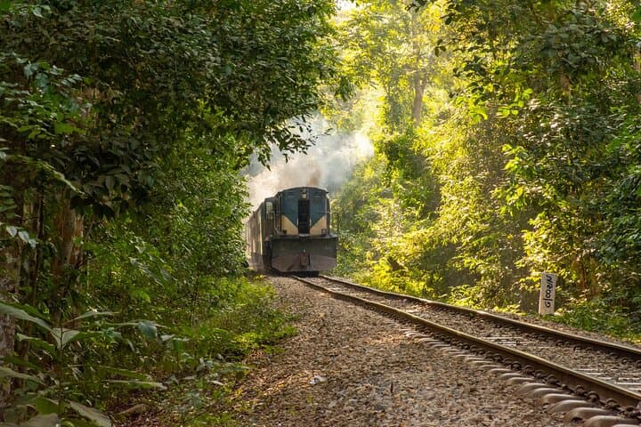 Sreemangal 3-Day Teagarden & Rainforest Tour: Humhum Waterfall, Lawachara, and Teaplantation Walks photo 5