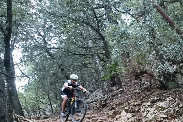 MTB Loop: Bellver Forest to Na Burguesa — Palma Guided Ride (E‑MTB Option)