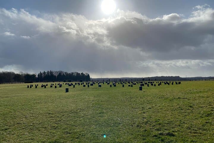Bath and Beyond: Full-Day Private Tour to Salisbury, Old Sarum & Stonehenge photo 4