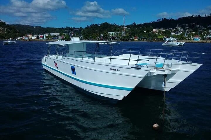 Whale Watching from Punta Cana to Samaná Bay and Cayo Levantado — Full-Day Catamaran Excursion photo 2