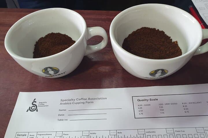 Hands-On Coffee Brewing Workshop at Avoeden Cafe in Medellín photo 4