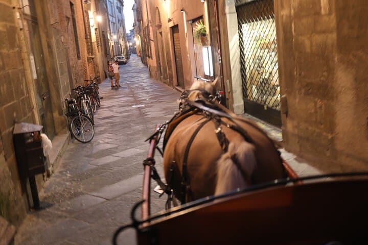 Explore Lucca: Complete City & Walls Walking Tour with Luigi photo 2