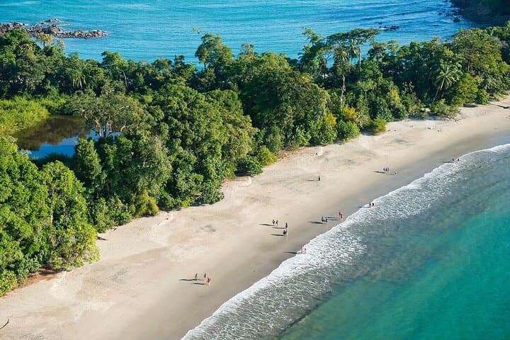 Manuel Antonio National Park: Full Wildlife Guided Walk from Quepos