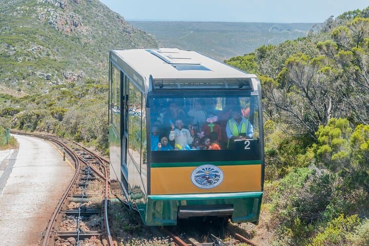Sea Kayak and Cape Point Private Tour from Cape Town — Penguins, Lighthouse & Chapmans Peak photo 4