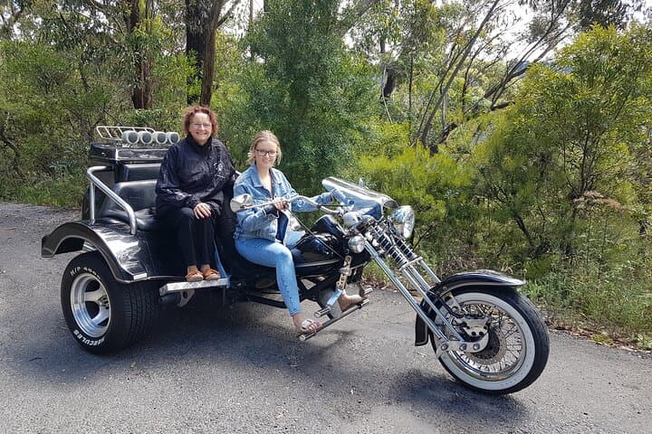 Blue Mountains 1-Hour Trike Tour to the Three Sisters — Guided Ride from Katoomba photo 5