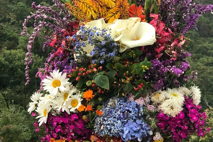 Private Silleteros Tour in Santa Elena: Behind Medellín's Flower Festival