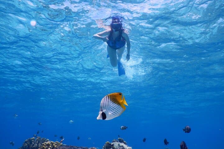 Kerama Islands Kayak & Snorkel Day Tour to Zamami Island photo 3