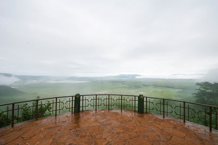 One-Day Ngorongoro Crater Safari from Arusha — Game Drive & Picnic Lunch