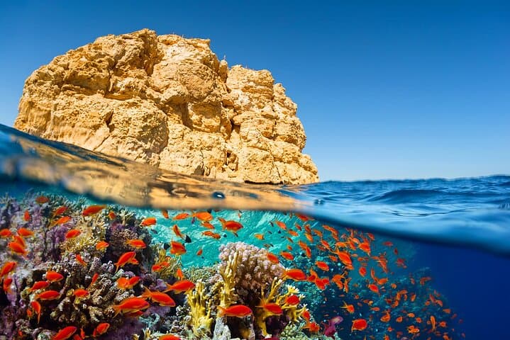 Full-Day Ras Mohammed Snorkeling from Sharm El Sheikh — Red Sea Reef Day Trip photo 2