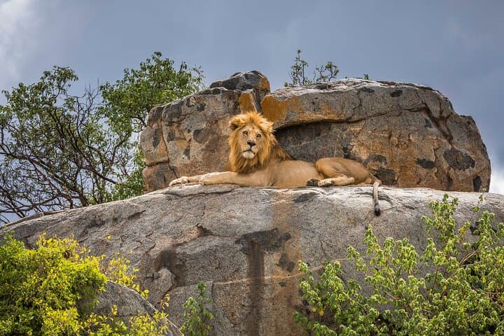 8-Day Serengeti, Ngorongoro & Empakaai Crater Safari — Lake Natron & Maasai Cultural Trek photo 4