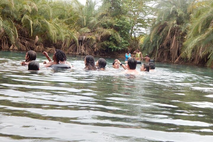 Materuni Waterfall, Coffee & Kikuletwa Hot-Spring Day Tour from Moshi photo 5