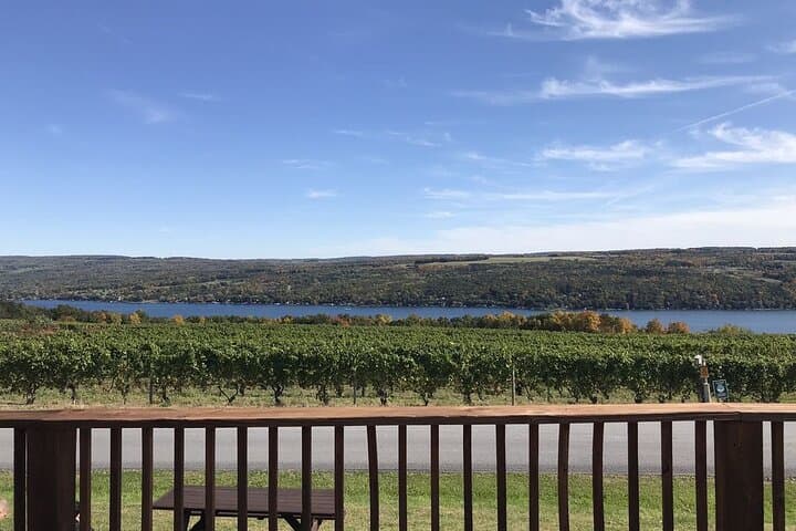 Keuka Lake Winery Tour: Best Finger Lakes Wine Tasting Route photo 6