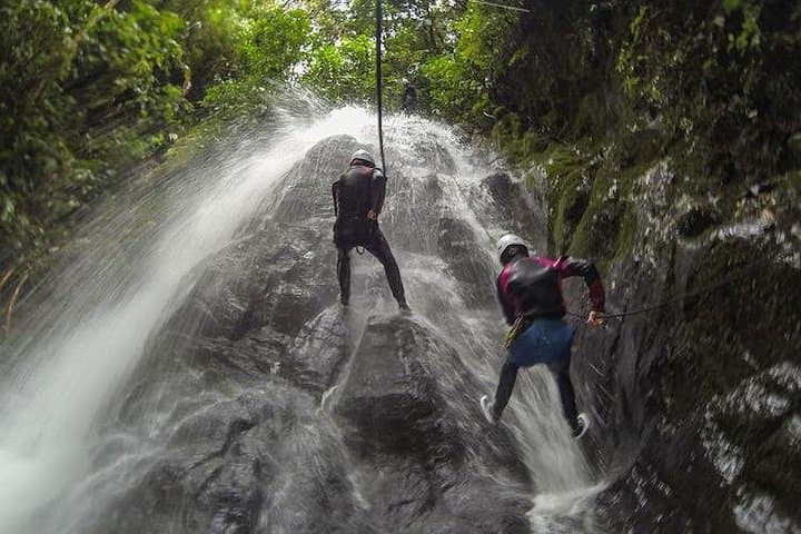 Canyoning Titou Gorge — Rappelling, Cliff Jumps & Jungle Waterways in Dominica photo 5