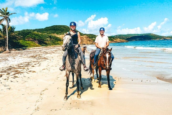 Private Beach Horseback Ride & Picnic in St. Lucia — Swim with Horses