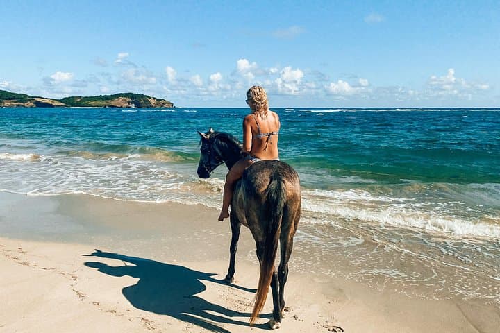 Private Beach Horseback Ride & Picnic in St. Lucia — Swim with Horses photo 2
