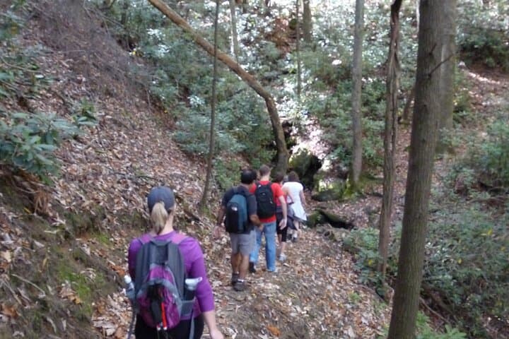 Bartram Trail Hike and Yonah Mountain Wine Tasting Day Trip from Clayton, GA photo 5